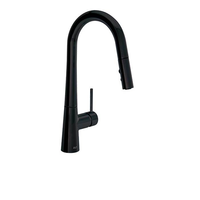 ALT Progetto Aqua Bettola Single-Control Pull-Down Kitchen Faucet