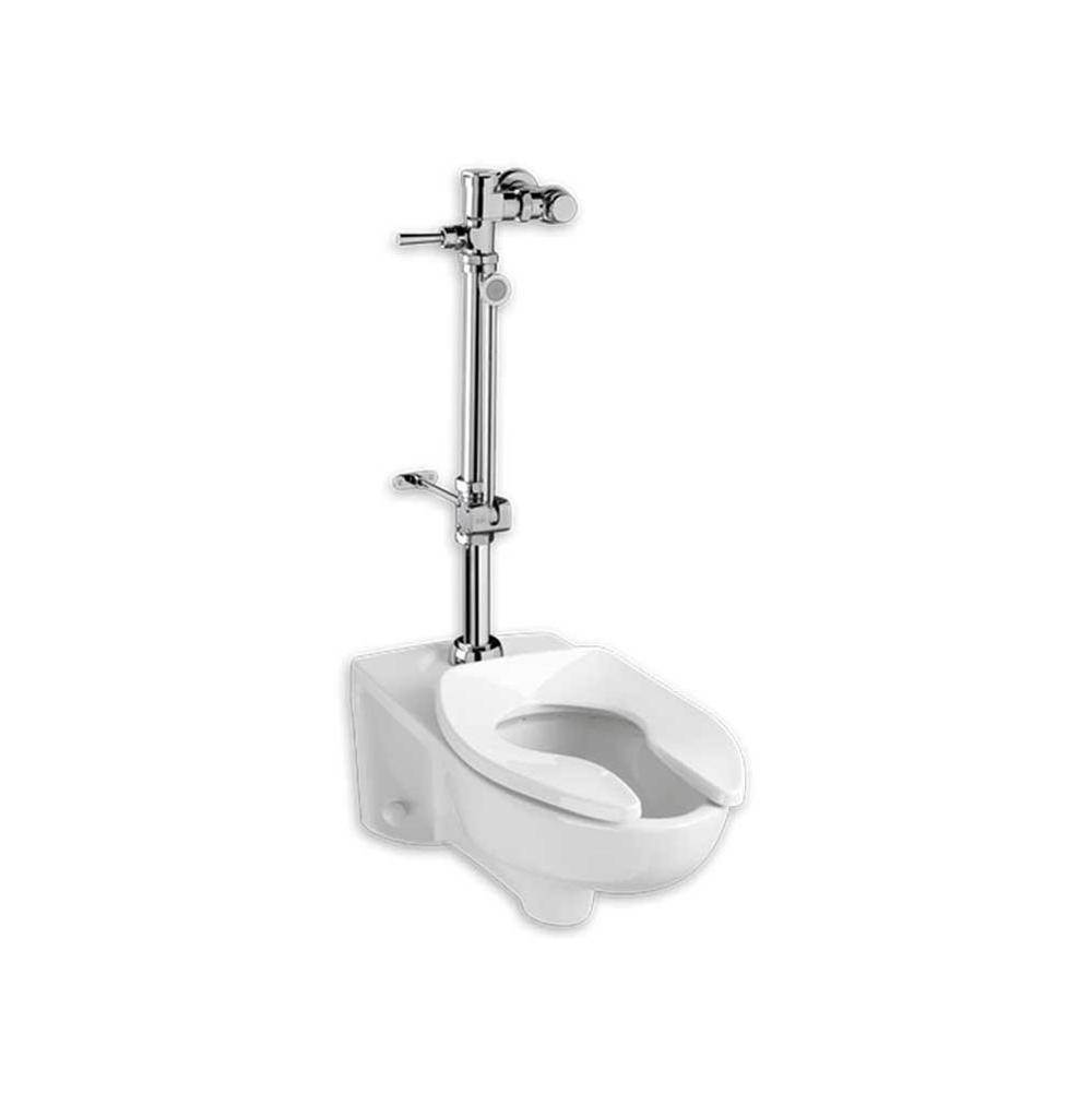 American Standard Canada Ultima™ Manual Flush Valve With Bedpan Washer Assembly, Straight Tube, 1.6 gpf/6.0 Lpf