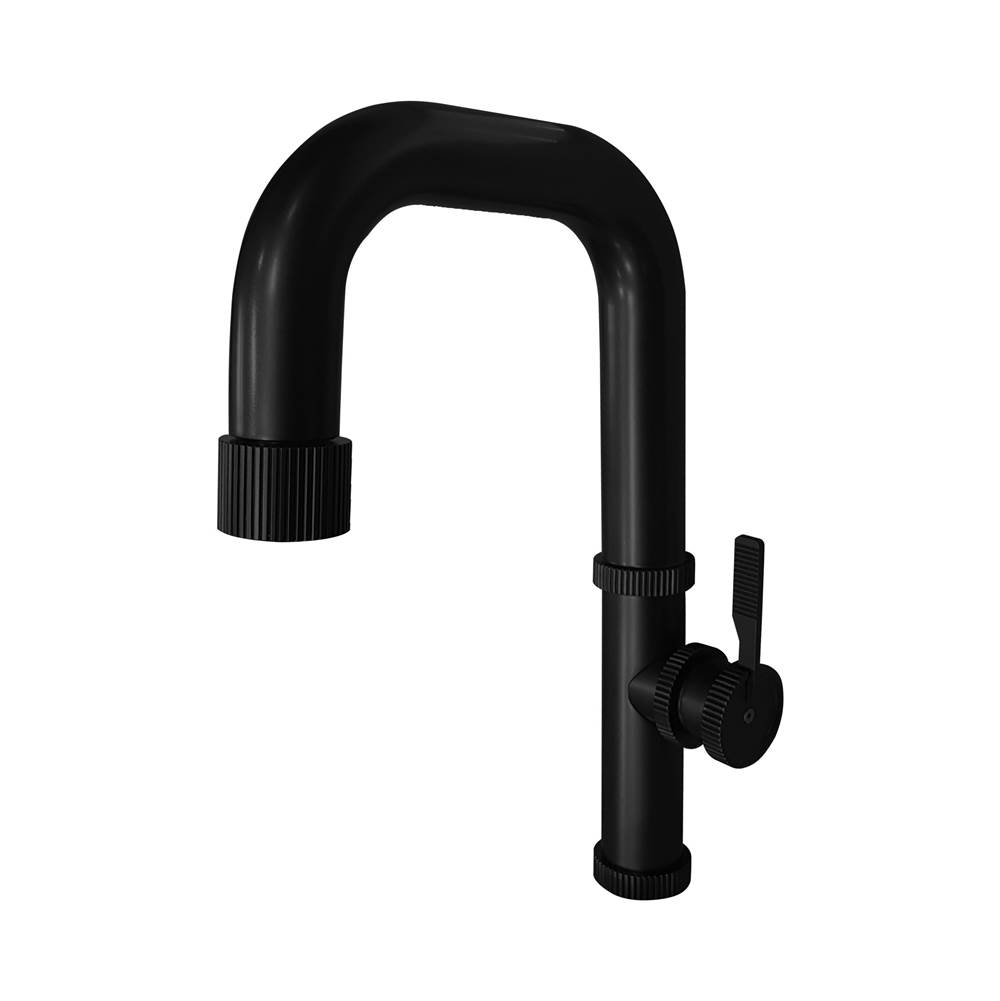 Disegno Raw Kitchen Faucet