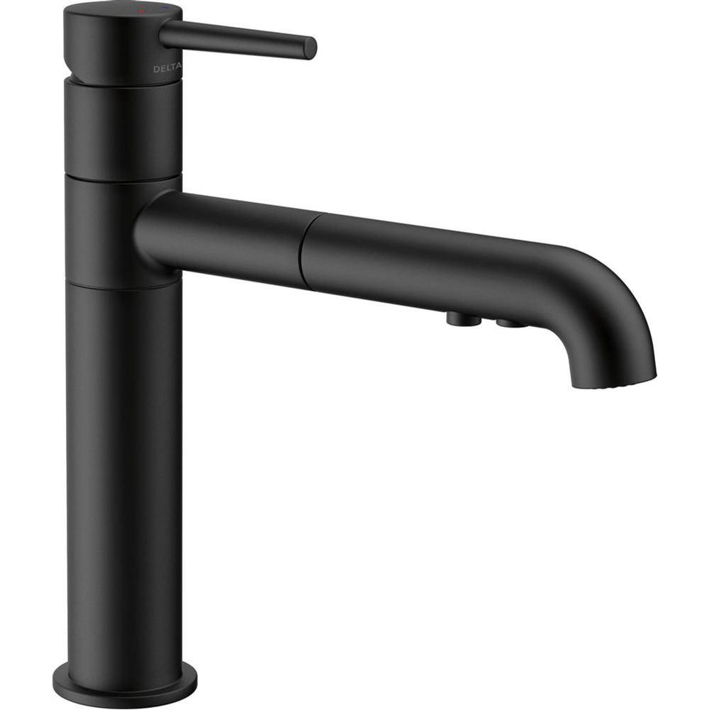 Delta Canada Trinsic® Single Handle Pull-Out Kitchen Faucet