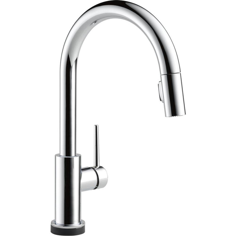 Delta Canada Trinsic® VoiceIQ™ Single-Handle Pull-Down Kitchen Faucet with Touch<sub>2</sub>O® Technology