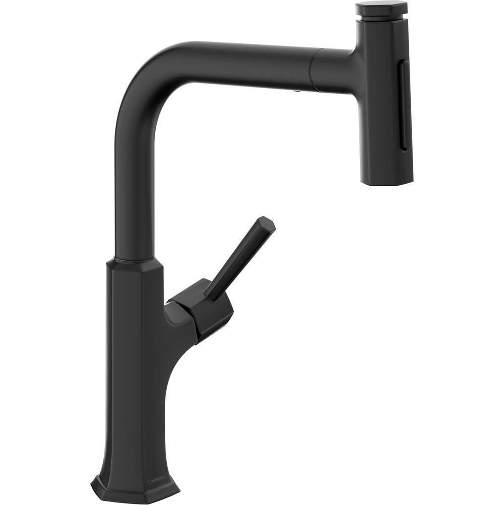 Hansgrohe Canada Higharc Kitchen Faucet, 2-Spray Pull-Out, 1.75 Gpm