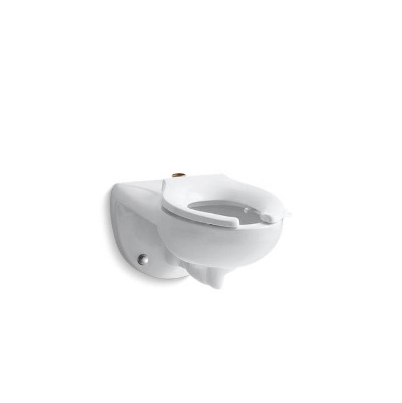 Kohler Kingston™ Wall-mount top spud flushometer bowl with bedpan lugs