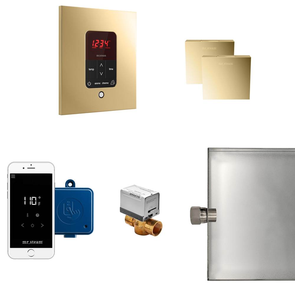 Mr. Steam Butler Max Steam Shower Control Package with iTempoPlus Control and Aroma Designer SteamHead in Square Polished Brass
